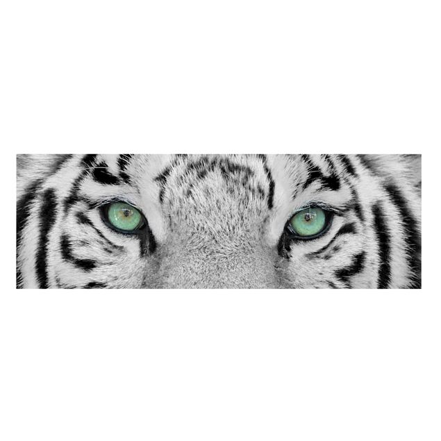 Lienzos en blanco y negro White Tiger