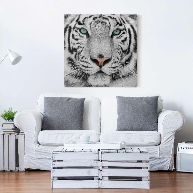 Lienzo gato White Tiger