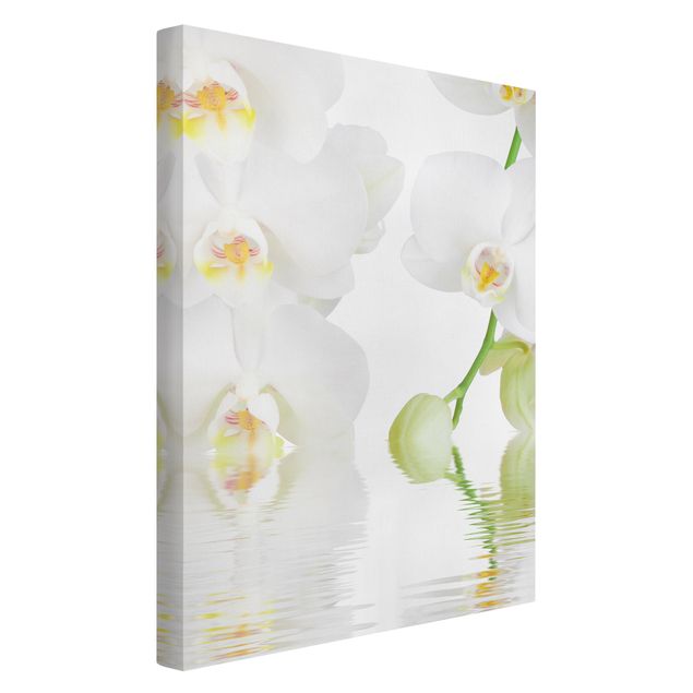 Cuadros en lienzo de flores Spa Orchid - White Orchid