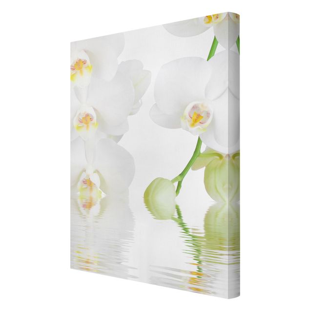Cuadros de flores modernos Spa Orchid - White Orchid