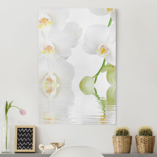 Cuadros de orquideas blancas Spa Orchid - White Orchid