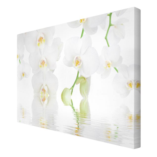 Cuadros flores Spa Orchid - White Orchid