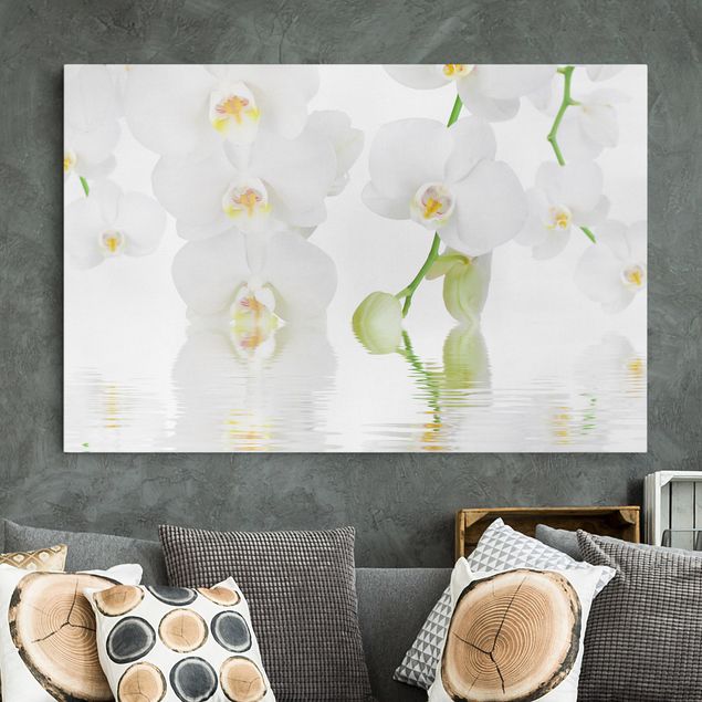 Cuadros con orquideas Spa Orchid - White Orchid