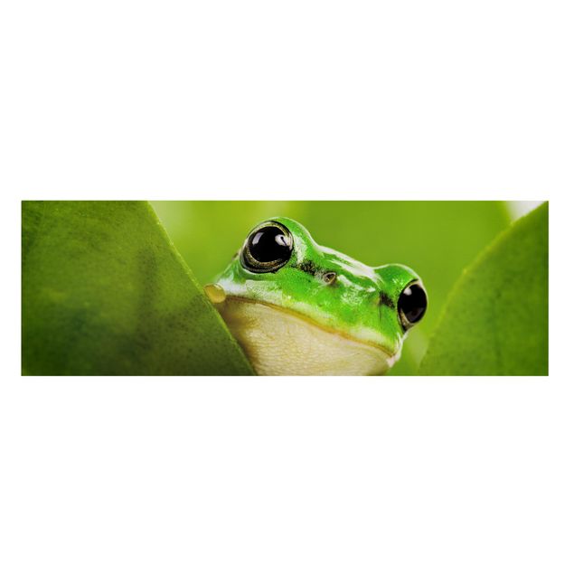 Cuadros infantiles animales Frog