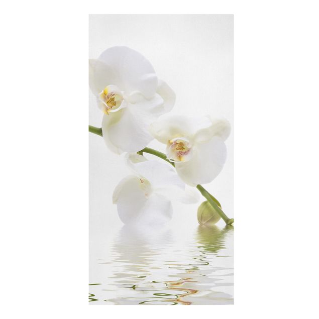 Cuadros de plantas White Orchid Waters