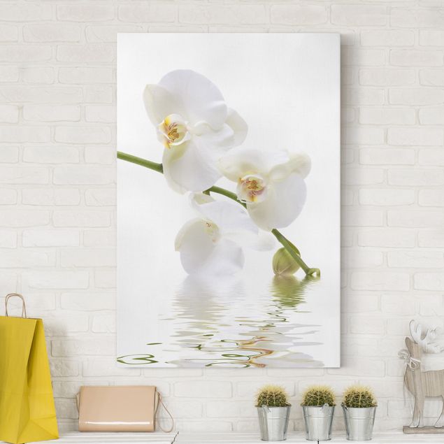 Cuadros con orquideas White Orchid Waters