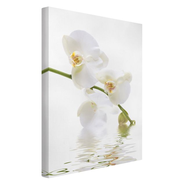 Lienzos flores White Orchid Waters