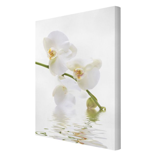 Cuadros flores White Orchid Waters