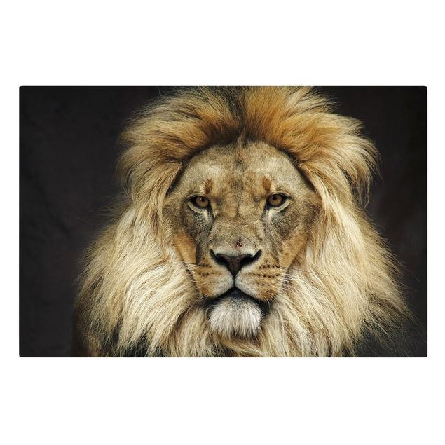 Lienzos de animales Wisdom Of Lion