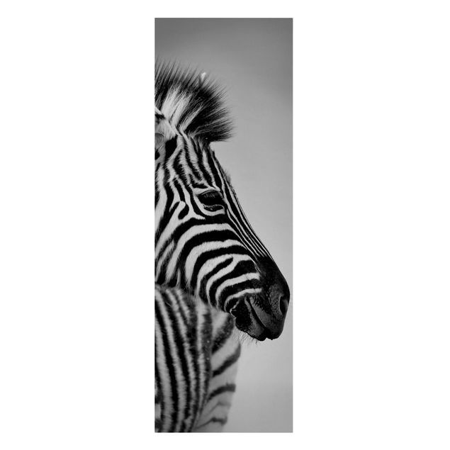 Lienzos animal Zebra Baby Portrait II