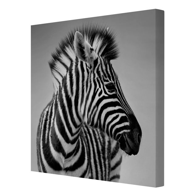 Cuadros africanos Zebra Baby Portrait II