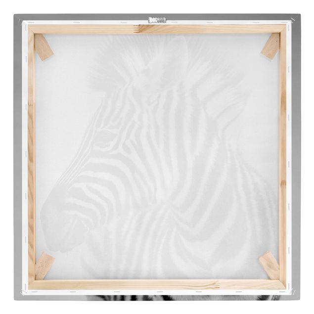 Cuadros en blanco y negro Zebra Baby Portrait II