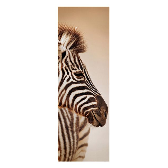 Lienzos de animales Zebra Baby Portrait