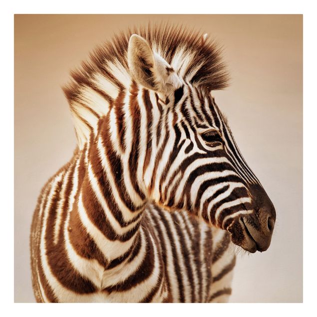Lienzos animales Zebra Baby Portrait