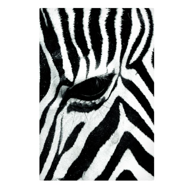Lienzos de animales Zebra Crossing No.3