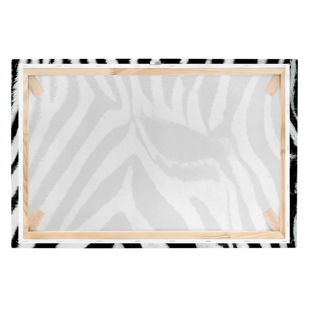 Cuadros de África Zebra Crossing
