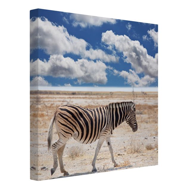 Cuadro con paisajes Zebra In The Savannah