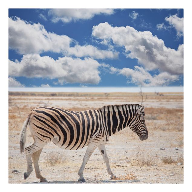 Lienzos paisajes Zebra In The Savannah