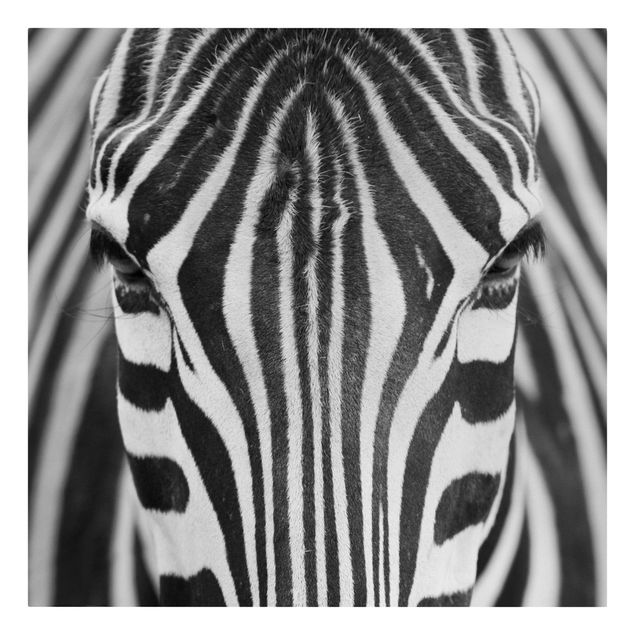 Lienzos en blanco y negro Zebra Look