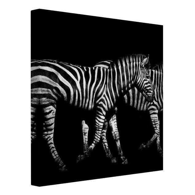 Lienzos blanco y negro Zebra In The Dark