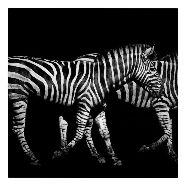 Lienzos animales Zebra In The Dark