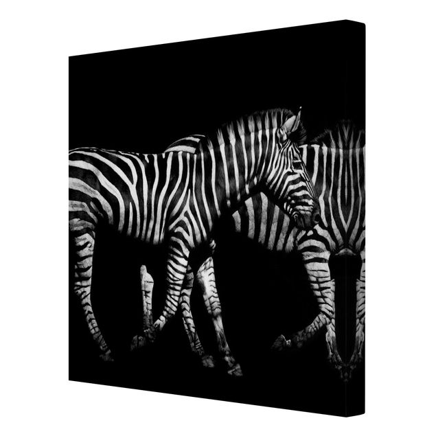 Cuadros modernos Zebra In The Dark