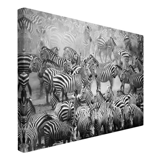 Lienzos en blanco y negro Zebra herd II