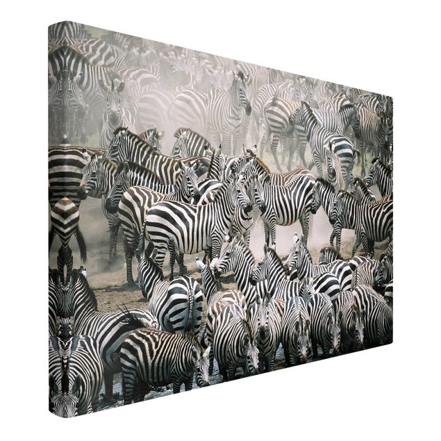 Lienzos blanco y negro Zebra Herd