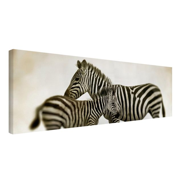 Lienzos en blanco y negro Zebra Couple