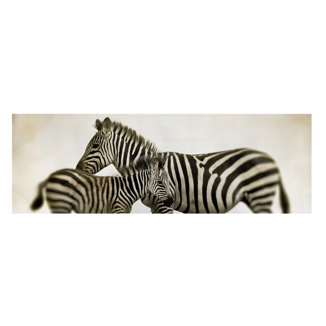 Lienzos animal Zebra Couple