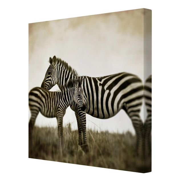 Cuadros africanos modernos Zebra Couple