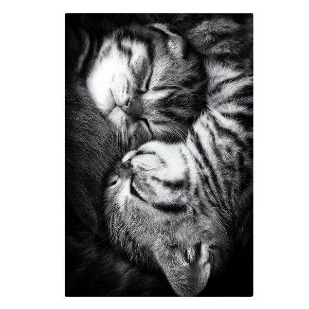 Lienzos blanco y negro Two Kittens