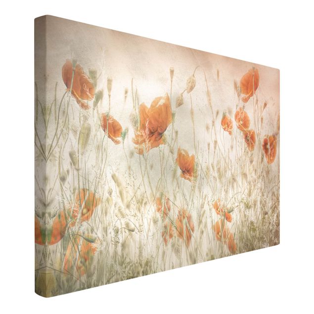 Decoración cocina Poppy Flowers And Grasses In A Field