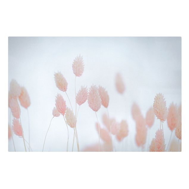 Cuadros de flores Grass Tips In Pale Pink