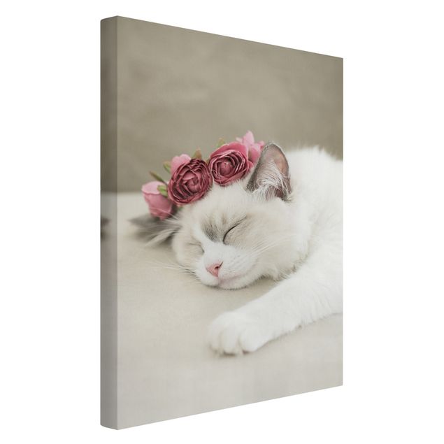 Cuadros de gatos modernos Sleeping Cat with Roses