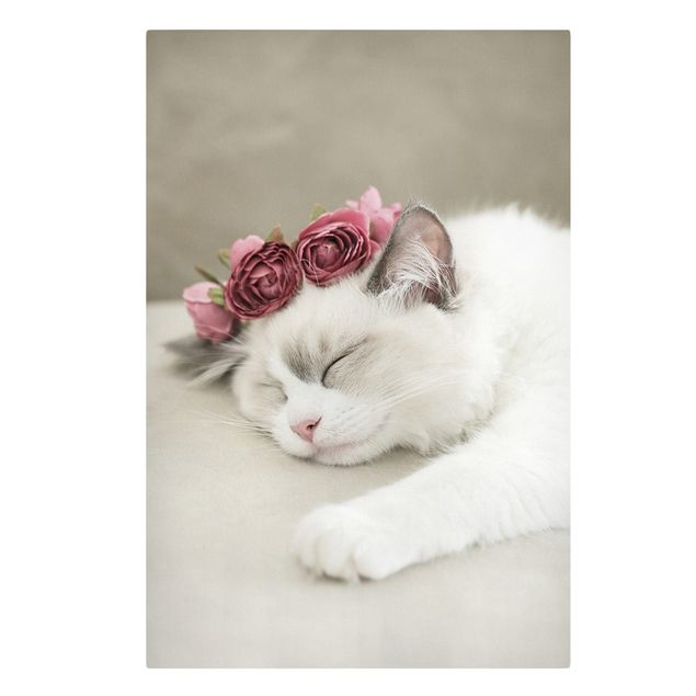 Cuadros en lienzo de flores Sleeping Cat with Roses