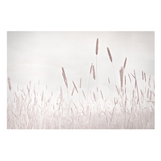 Cuadros de flores Summerly Reed Grass