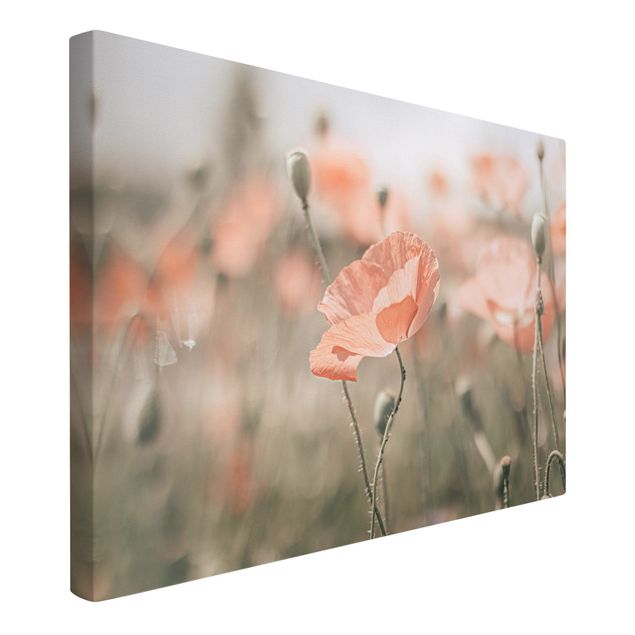 Cuadros en lienzo de flores Sun-Kissed Poppy Fields