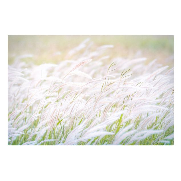Cuadros flores Soft Grasses