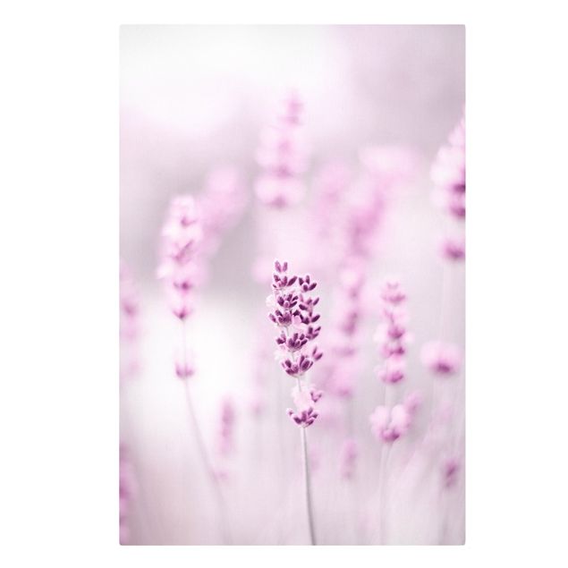 Cuadros flores Pale Purple Lavender