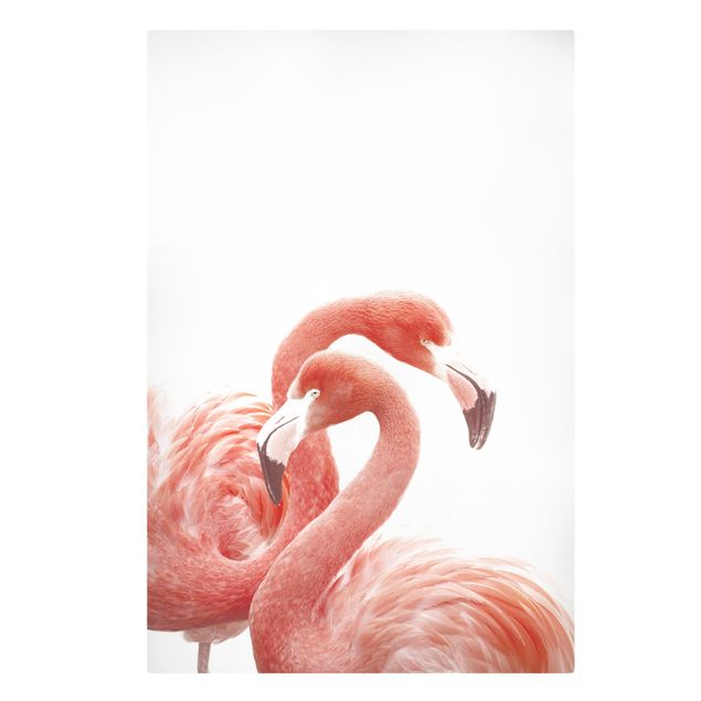Cuadros decorativos modernos Two Flamingos