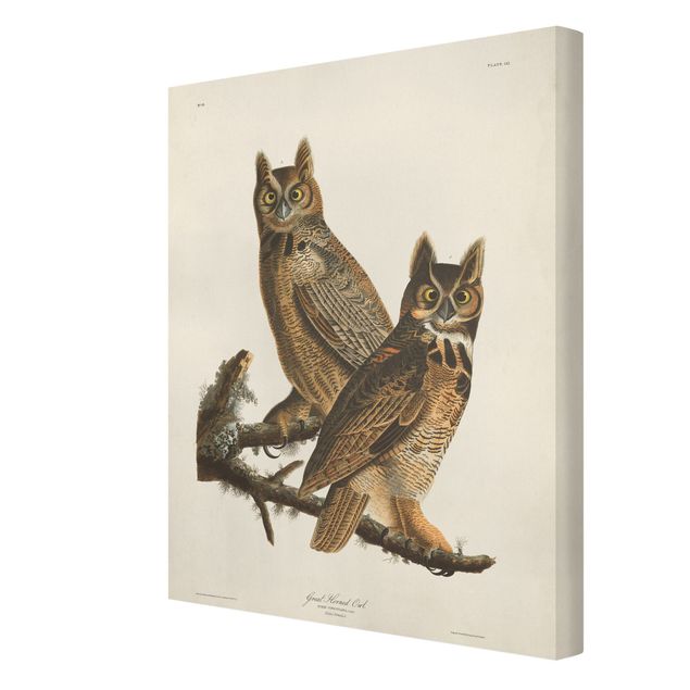 Cuadros marrón Vintage Board Two Large Owls