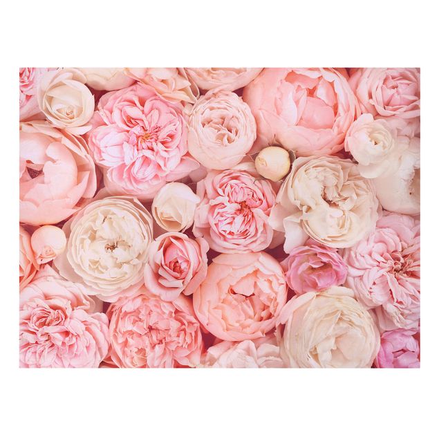 Cuadros flores Roses Rosé Coral Shabby