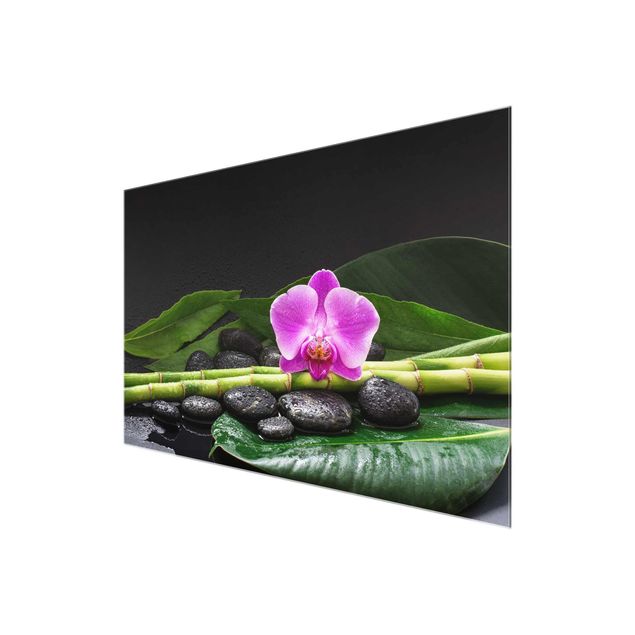 Cuadros de plantas Green Bamboo With Orchid Flower