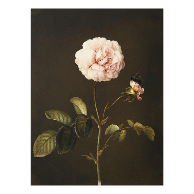 Estilos artísticos Barbara Regina Dietzsch - French Rose With Bumblbee