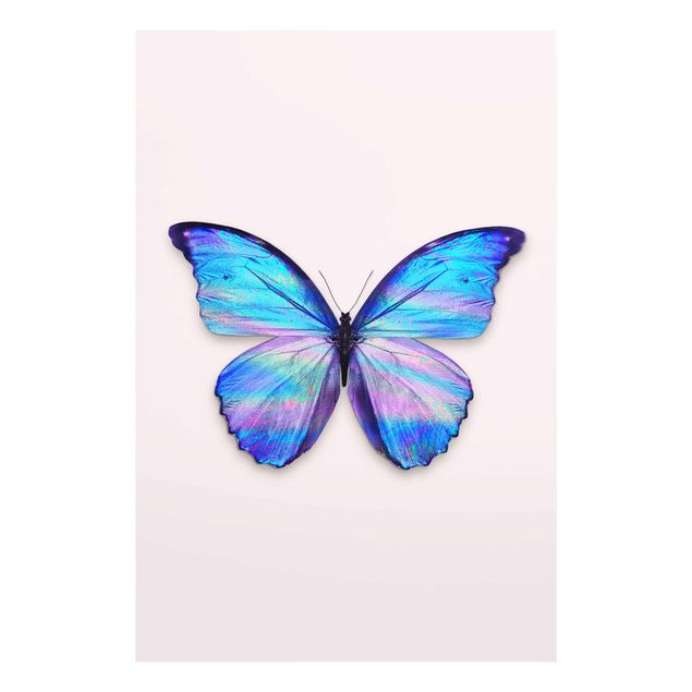 Cuadros de cristal animales Holographic Butterfly