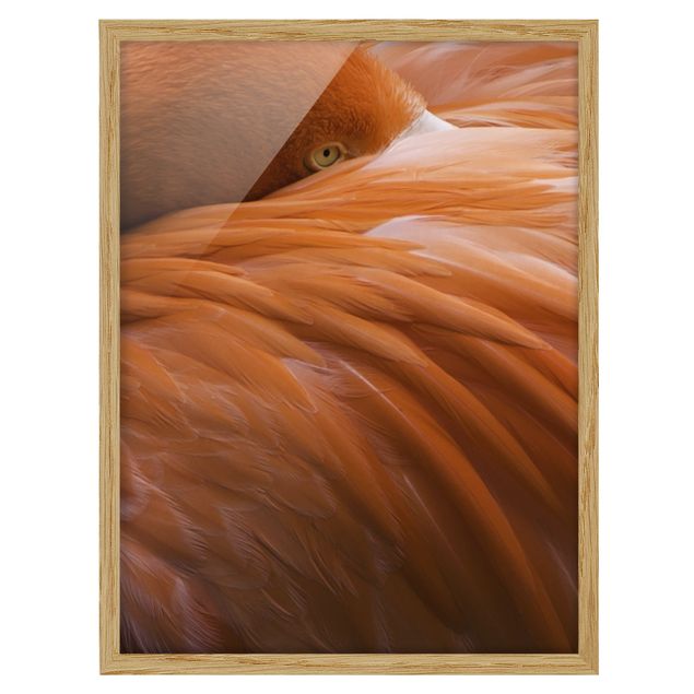 Cuadros decorativos modernos Flamingo Feathers