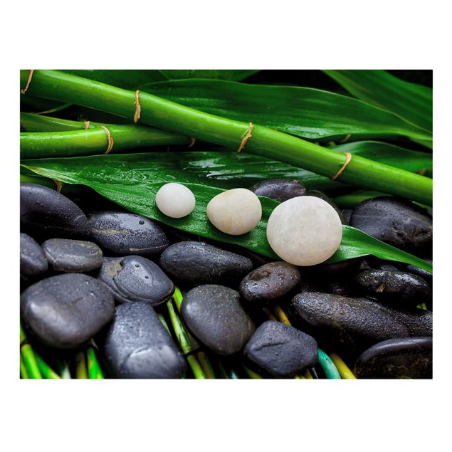 Cuadros en lienzo de flores Green Bamboo With Zen Stones
