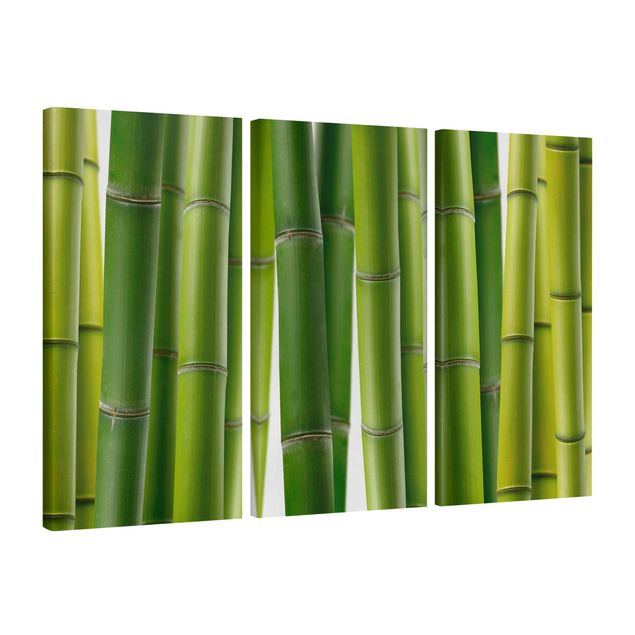 Cuadros de bambú Bamboo Plants