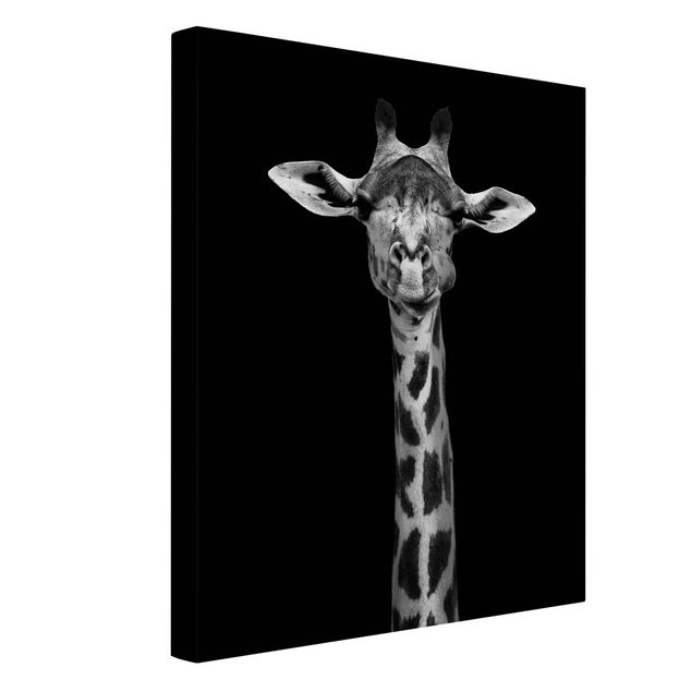 Lienzos en blanco y negro Dark Giraffe Portrait
